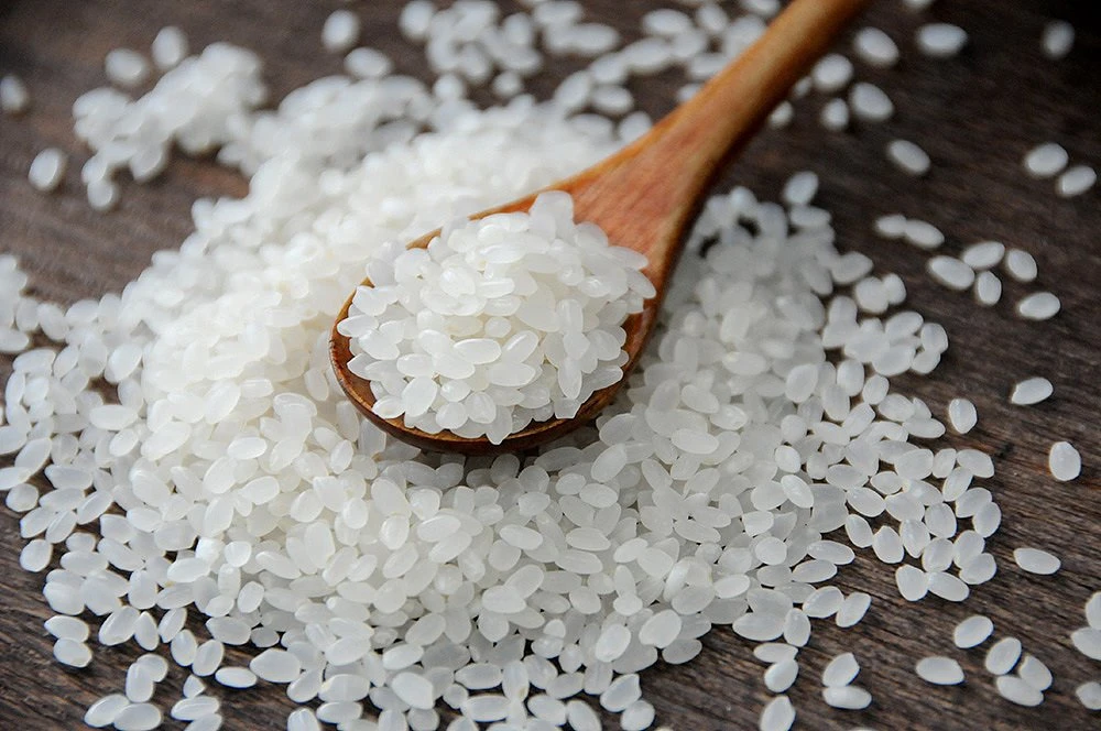 rice protein