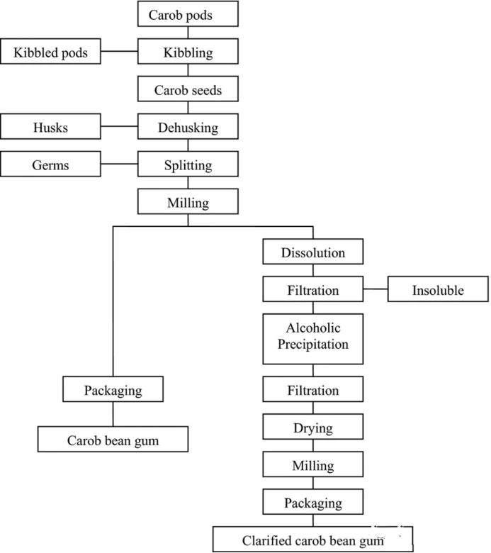 Locust Bean Gum Powder Locust Bean Gum Powder