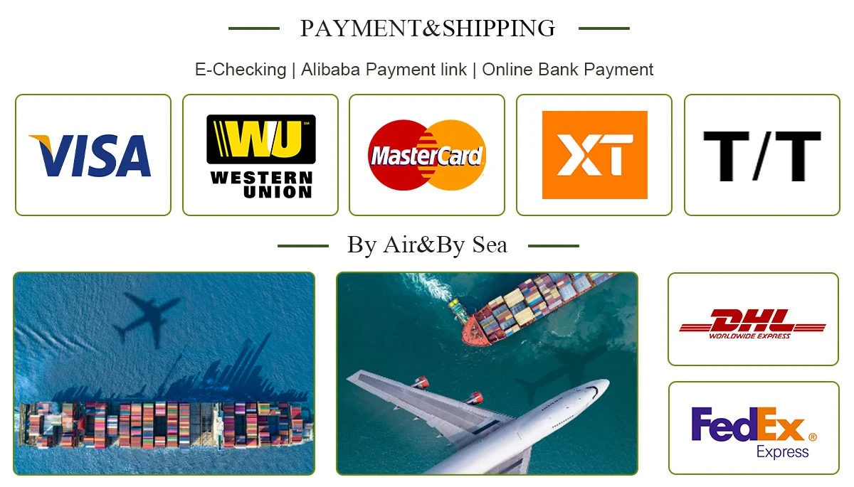 PaymentShipping